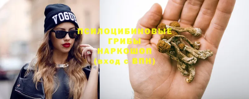 Псилоцибиновые грибы Psilocybe  omg ONION  Топки 